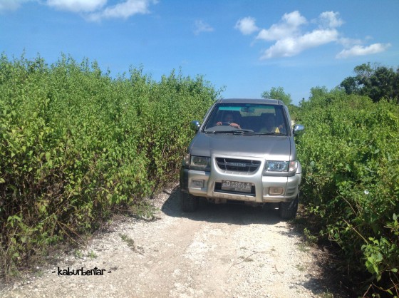 Jalanan menuju danau Weekuri