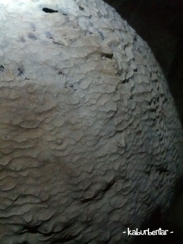 Kilatan "kristal" di bebatuan Goa Batu Cermin (area atas)