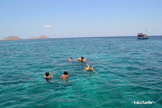 Dalam episode: Mencari Manta yang Hilang di TN Komodo