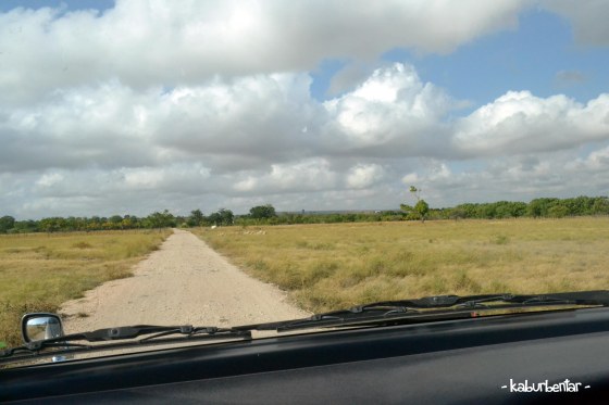 Jalan masuk menuju pantai Walakiri