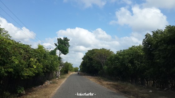 Jalan dari Waingapu menuju Walakiri