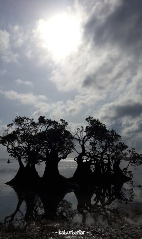 The best photo I captured at Walakiri, IMHO. Simply stunning.