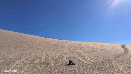 sandboarding atacama